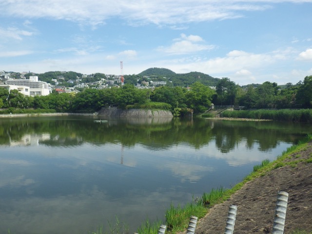 大池から見る甲山