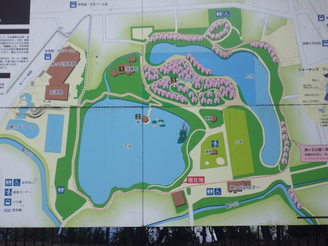緑ヶ丘公園の地図